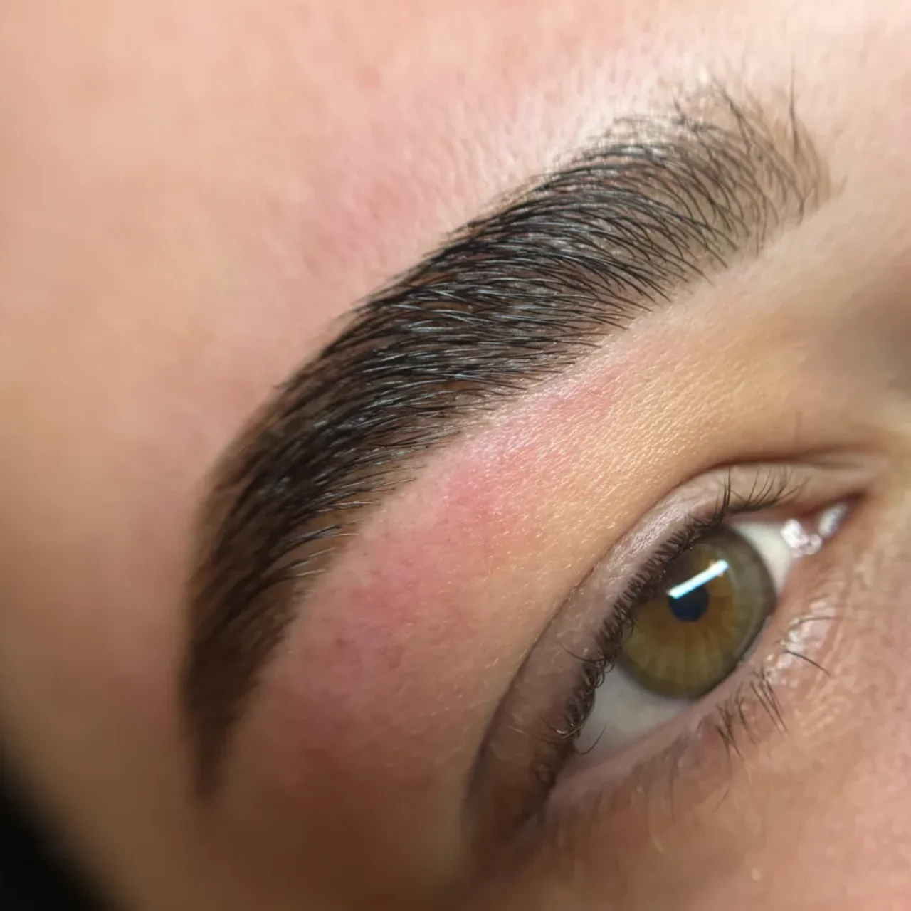 Resultado da técnica Designer de Sobrancelhas Feminino (Com Henna)